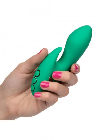 Calexotics Sierra Sensation – Bild 2