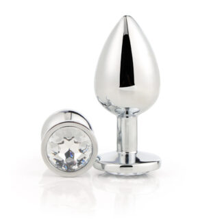 Gleaming Love Silver Analplug