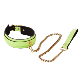 Radiant Halsband mit Leine Glow in the Dark